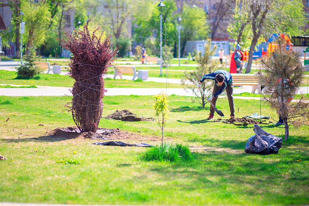 mantenimiento de jardines comunitarios